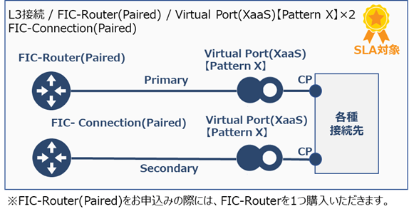 ../../_images/FIC-Premium_VP_PatternX_ConnectionType.png