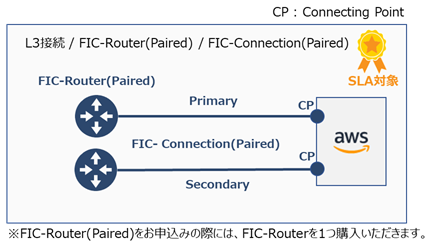 ../../_images/FIC-Premium_aws_ConnectionType.png