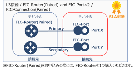 ../../_images/FIC-Premium_cPort_ConnectionType_L3_InterTenant.png