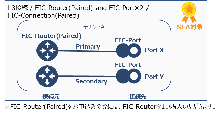 ../../_images/FIC-Premium_cPort_ConnectionType_L3_SameTenant.png