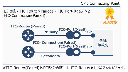 ../../_images/FIC-Premium_xaas_ConnectionType.png